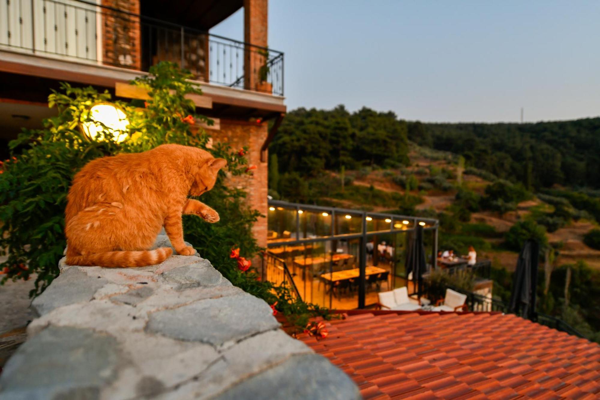 Hotel Ephesus Retreat Izmir Zewnętrze zdjęcie